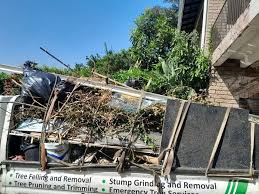 Best Junk Removal for Events  in Lisbon, ND